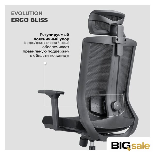 Офисное кресло Evolution ERGO BLISS Black (черный) - Изображение №11 — Интернет магазин BigSale