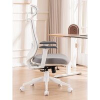 Офисное кресло Evolution HybridFlex White (серый) - Превью изображения №7 — Интернет магазин BigSale