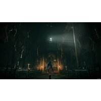 Elden Ring для PlayStation 5 Image #12