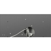 MAUNFELD Crosby Rocky 60 (белый) Image #9