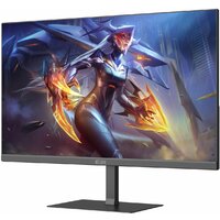 Монитор ELSA EA251Q - Превью изображения №2 — Интернет магазин BigSale