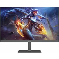 ELSA EA251Q