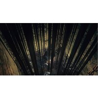 Dark Souls: Remastered для PlayStation 4 Image #13