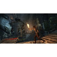 Tomb Raider: Definitive Edition для PlayStation 4 Image #29