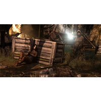 Tomb Raider: Definitive Edition для PlayStation 4 Image #15