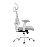 Evolution ErgoLine 2 (серый) Image #5