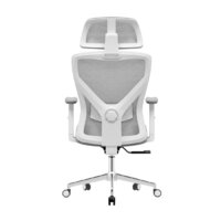 Evolution ErgoLine 2 (серый) Image #2