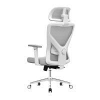 Evolution ErgoLine 2 (серый) Image #3