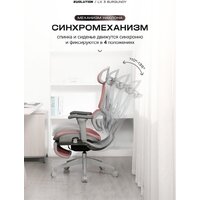 Evolution LX 3 Burgundy (бордовый) Image #2