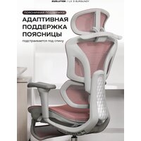 Evolution LX 3 Burgundy (бордовый) Image #3
