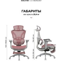 Evolution LX 3 Burgundy (бордовый) Image #9