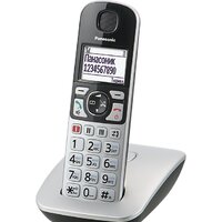 Panasonic KX-TGE510RUS
