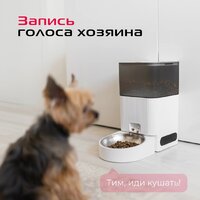 RED Solution Red For Pets 01S Image #13