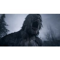 Resident Evil Village для PlayStation 5 Image #5