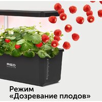 RED Evolution RSG-01 Image #10