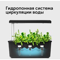 RED Evolution RSG-01 Image #11