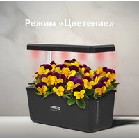 RED Evolution RSG-01 Image #9