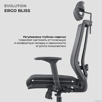 Офисное кресло Evolution ERGO BLISS Black (черный) - Превью изображения №13 — Интернет магазин BigSale