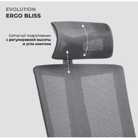 Офисное кресло Evolution ERGO BLISS Black (черный) - Превью изображения №10 — Интернет магазин BigSale