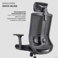 Офисное кресло Evolution ERGO BLISS Black (черный) - Превью изображения №11 — Интернет магазин BigSale