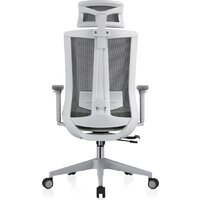 Офисное кресло Evolution ERGO BLISS Grey (серый) - Превью изображения №5 — Интернет магазин BigSale