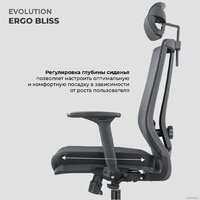 Офисное кресло Evolution ERGO BLISS Grey (серый) - Превью изображения №13 — Интернет магазин BigSale
