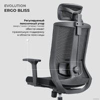 Офисное кресло Evolution ERGO BLISS Grey (серый) - Превью изображения №11 — Интернет магазин BigSale