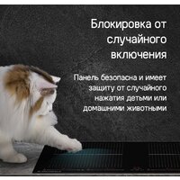 MAUNFELD CVI594SF2BK Inverter Image #10