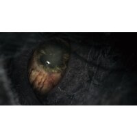 Bloodborne: Порождение крови для PlayStation 4 Image #27