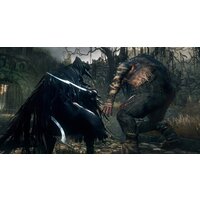 Bloodborne: Порождение крови для PlayStation 4 Image #32
