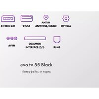Evo TV 55 Black TD0051754RU Image #6