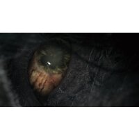 Bloodborne: Порождение крови. Game of the Year Edition для PlayStation 4 Image #8