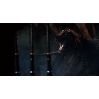 Bloodborne: Порождение крови. Game of the Year Edition для PlayStation 4 Image #7