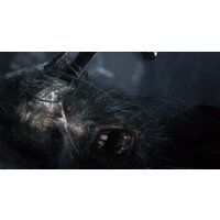 Bloodborne: Порождение крови. Game of the Year Edition для PlayStation 4 Image #9