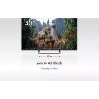 Evo TV 43 Black TD0051752RU Image #4