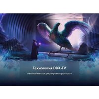 Evo TV 43 Black TD0051752RU Image #9