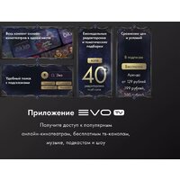 Evo TV 32 Black TD0051751RU Image #8