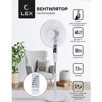 LEX LXFC 8346