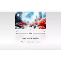 Evo TV 43 White TD0051750RU Image #5