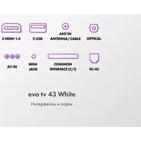 Evo TV 43 White TD0051750RU Image #9