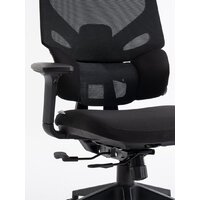 Evolution LumbarPro (черный) Image #5