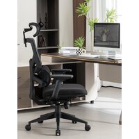 Evolution LumbarPro (черный) Image #12