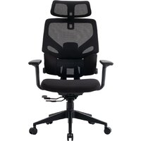 Evolution LumbarPro (черный)