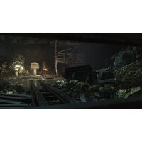 Rise of the Tomb Raider: 20 Year Celebration для PlayStation 4 Image #13