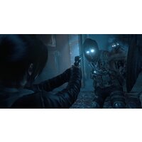Rise of the Tomb Raider: 20 Year Celebration для PlayStation 4 Image #27