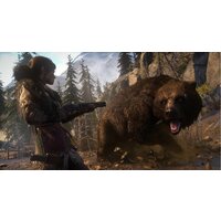 Rise of the Tomb Raider: 20 Year Celebration для PlayStation 4 Image #9