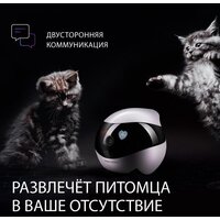 RED Solution Reddy SE Image #6