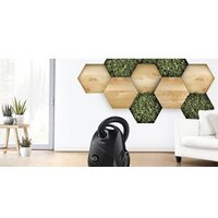 Bosch Serie 2 BGLS2BA2 Image #4