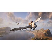 Hogwarts Legacy для PlayStation 4 - Превью изображения №6 — Интернет магазин BigSale