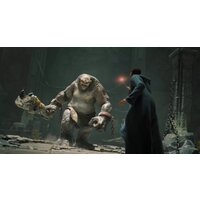 Hogwarts Legacy для PlayStation 4 Image #4